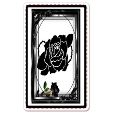 Playing Cards