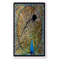 Playing Cards