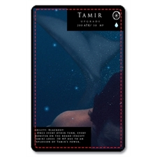 Playing Cards