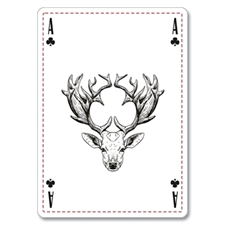 Playing Cards