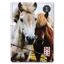 Playing Cards