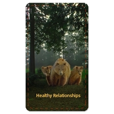 Healthy Relationships 1