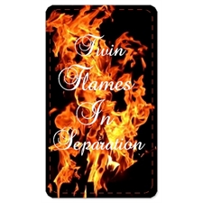 Playing Cards