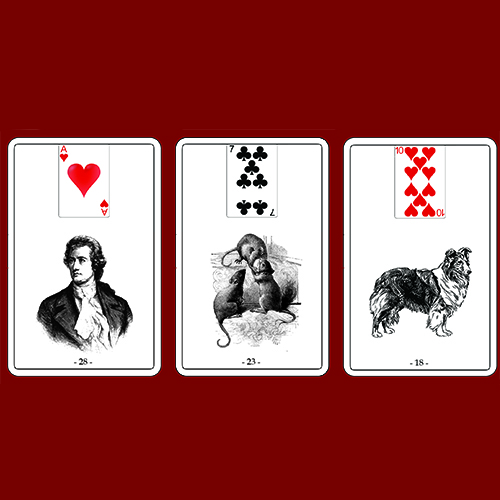Playing Cards