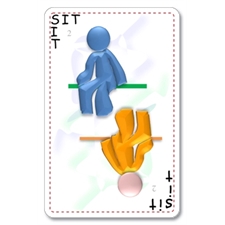 Playing Cards