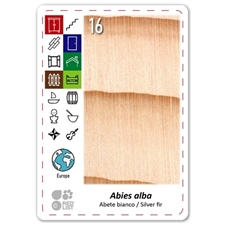 Playing Cards