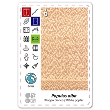 Playing Cards