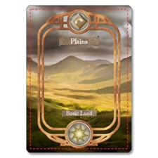 Playing Cards