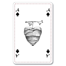 Playing Cards