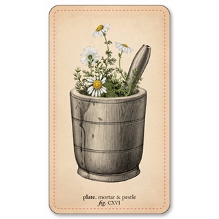 Memento Mori Oracle: Folk Magic Expansion Pack