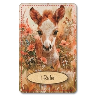dreamland animals lenormand