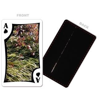 Magicians’ Pick –– Double Face Shaded Back Poker (Landscape)