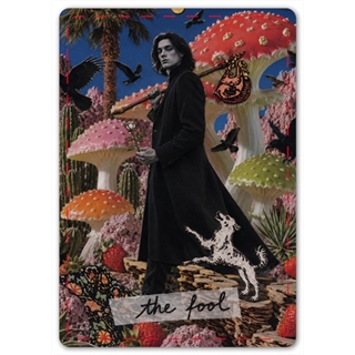 Don't look back, honey Tarot (w/o box + S33 Superior Smooth)