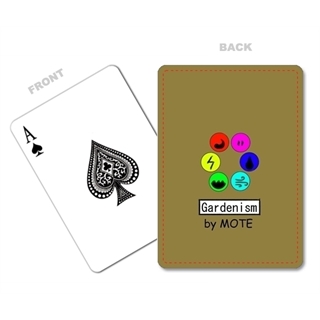 Custom Plastic Poker Cards (63.5 x 88.9mm)