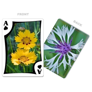 Modern Custom Front and Landscape Back Playing Cards