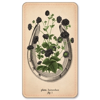 Memento Mori Oracle Deck