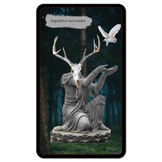 Dark Altar Tarot labeled (tarot size)