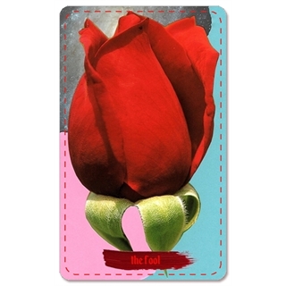 rosebae tarot