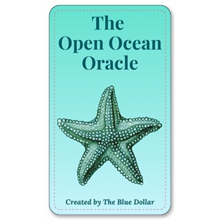 The Open Ocean Oracle