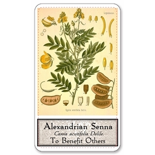 Vintage Botanical Oracle from Nicole Hanna