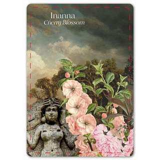 Divine Ephemera Oracle